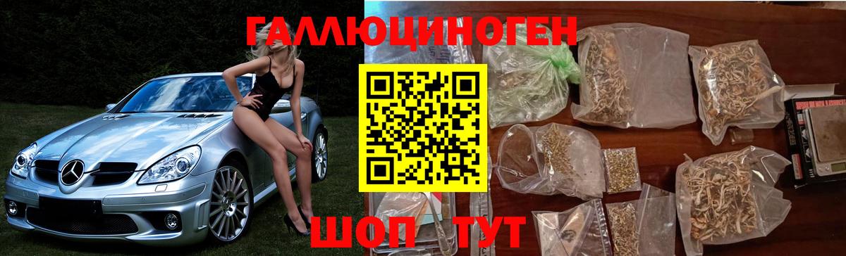 Галлюциногенные грибы Psilocybine cubensis  Вход с VPN  Обнинск 